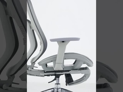 2306 كرسي الشبكة