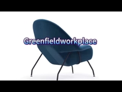 e38 كرسي الرحم